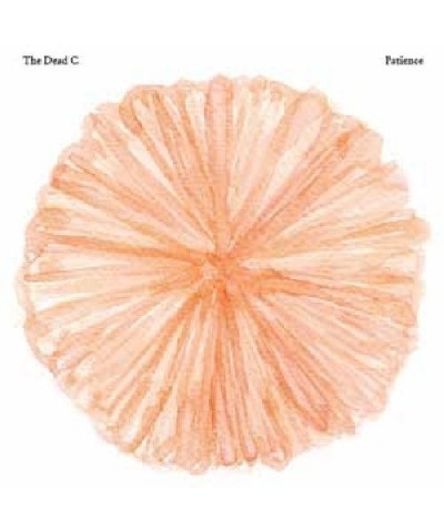 The Dead C PATIENCE CD $5.61 CD